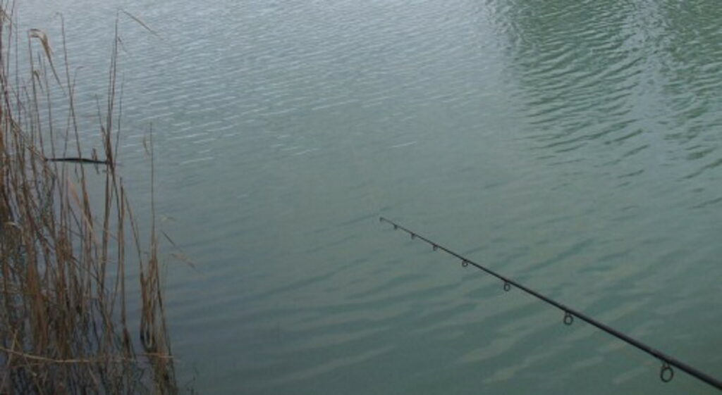 angeln_mit_drop-shot_rute