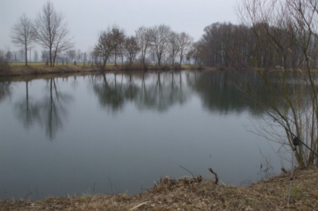 Vorkommen und Lebensweise des Zanders